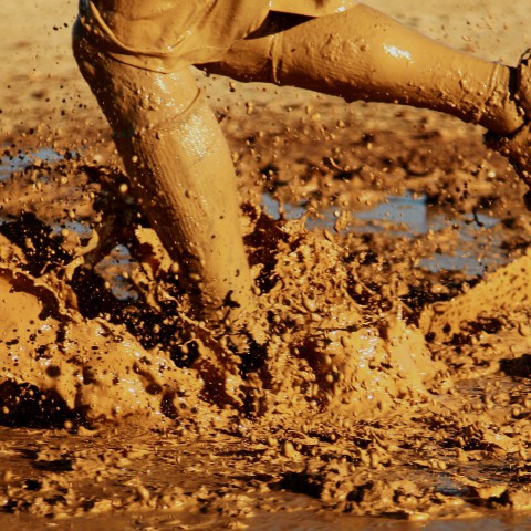 Stichting Stad & Natuur stopt met Modderrun