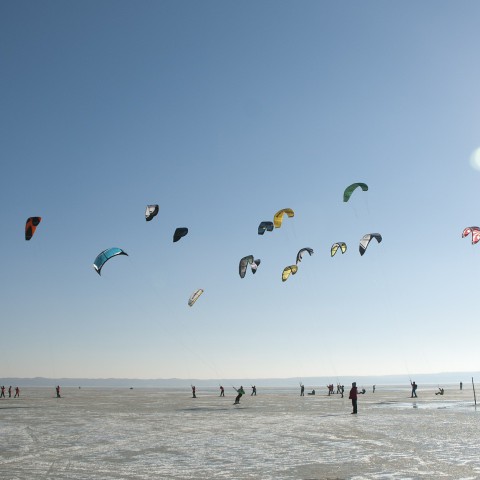 'Kitesurfen buiten aangewezen zones verstoort natuur'