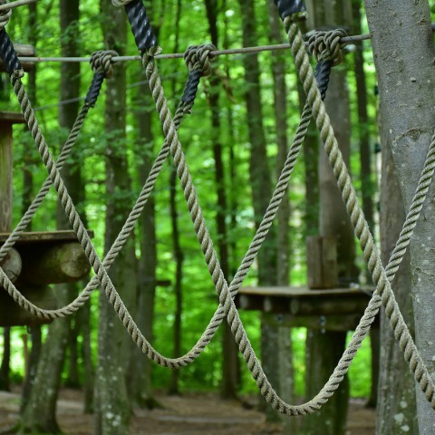 Kom jij komende zaterdag nachtklimmen bij Fun Forest?