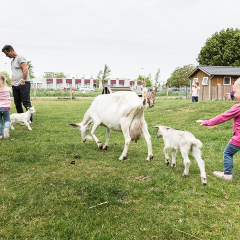 Stad & Natuur viert 4 feestjes op zondag 6 oktober