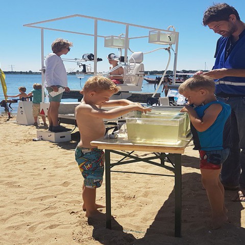 Kom ook watermeten elke dinsdagmiddag in de vakantie bij Strandlab op het Almeerderstrand