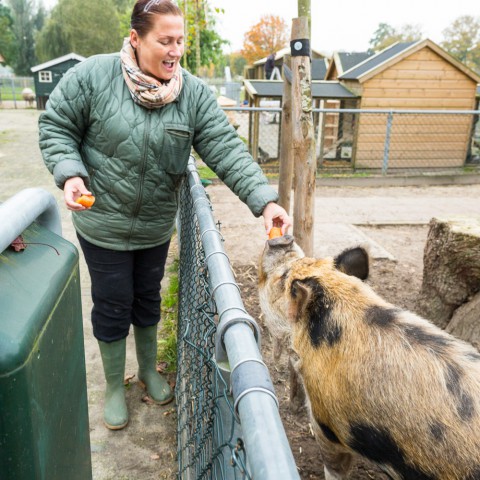 NL Doet bij Stad & Natuur - vrijwilligers gezocht