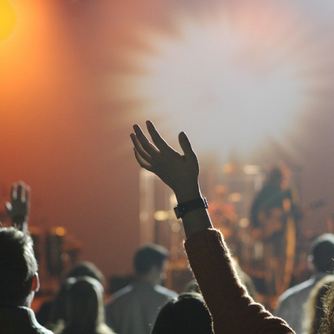Forever Young Festival mogelijk niet meer gratis