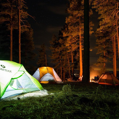 De Buurtcamping komt deze zomer naar Beatrixpark!