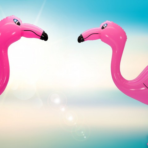 Pinkster Outdoor Event trekt minder bezoekers