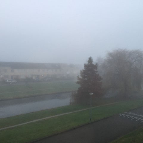 Nieuwjaarsdag: Laaghangende wolken en mist