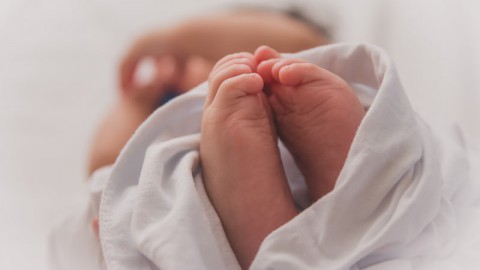 Ruim 20% meer bevallingen in het Flevoziekenhuis