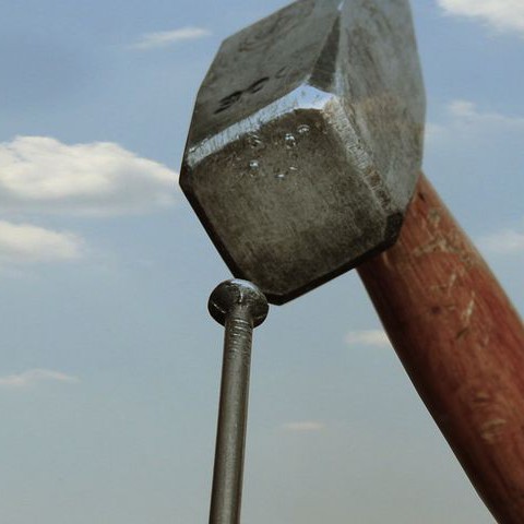 Ook Almere tegen bouw biomassacentrale Diemen