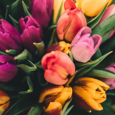 Fleur je huis op!