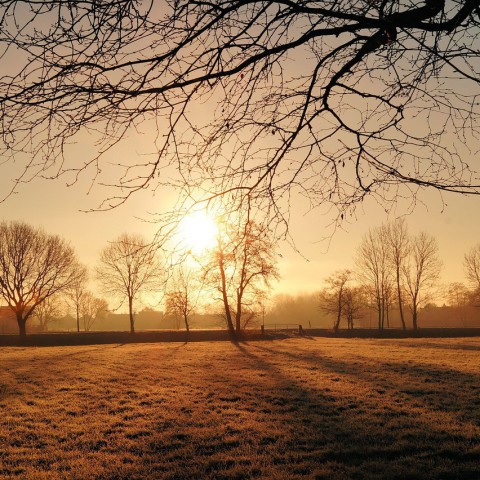 Warmste 31 januari ooit gemeten 