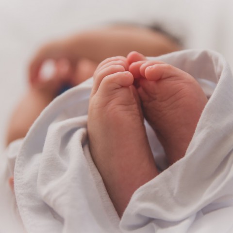 Ruim 2.500 baby's geboren in 2019 