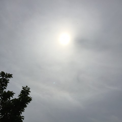 Eerst geregeld zon, later weer regen.