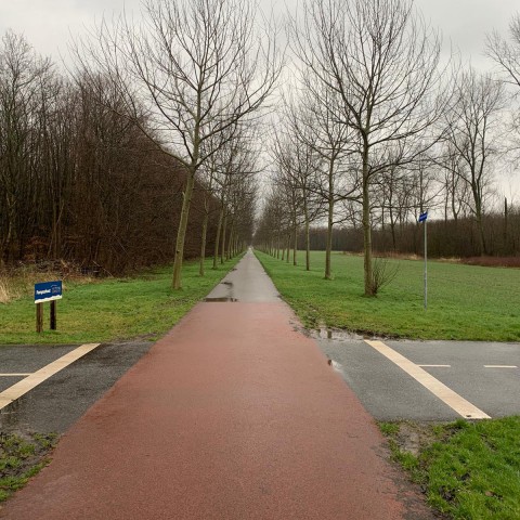 Regenachtig en veel wind