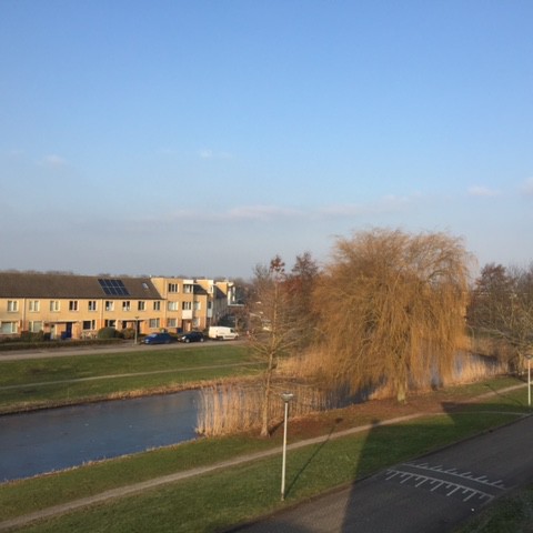 Zonnig en schraal.