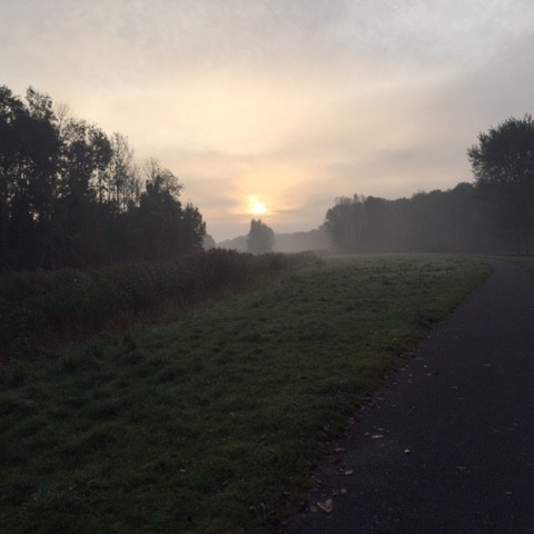 Overwegend droog met afwisseling van zon en wolken.