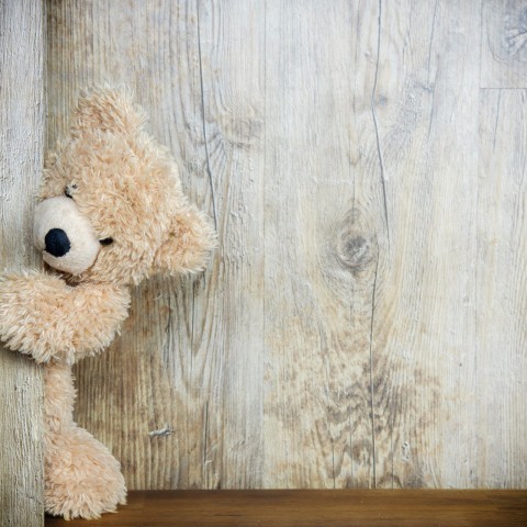 Berenjacht groot succes in provincie