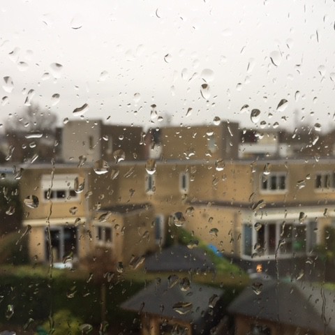 Bewolkt, regenachtig en vrij veel wind.