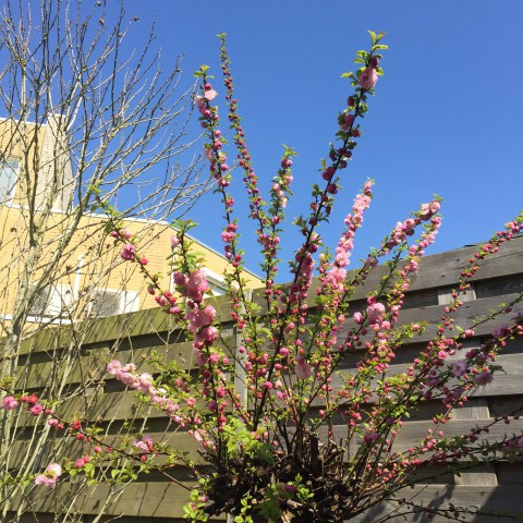 Opnieuw stralend zonnig.