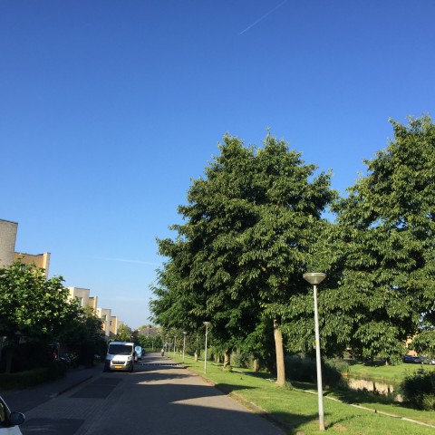 Veel zon en veel wind.