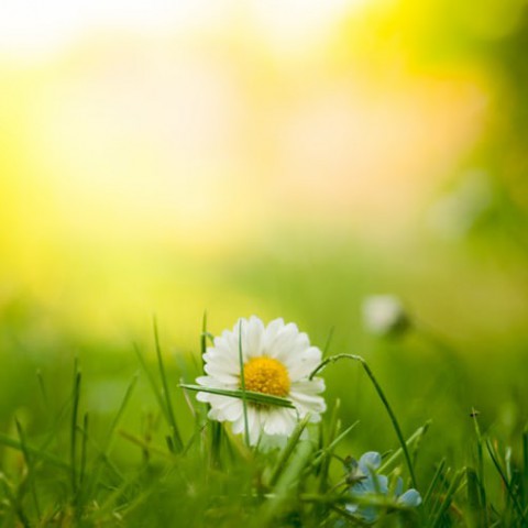 Warmste 5 april ooit gemeten in Flevoland