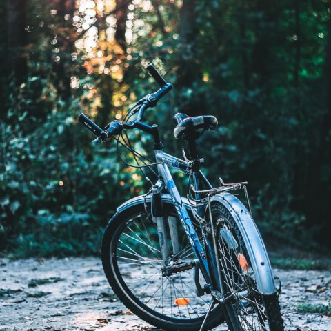 Gemeente wil Almeerders op de fiets krijgen