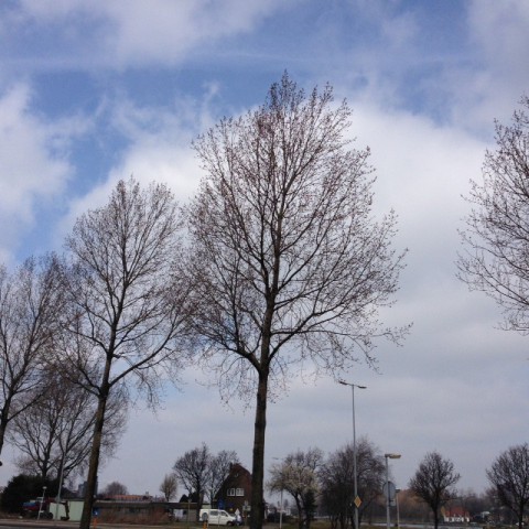 Tweede Paasdag: Vrij koud met wolkenvelden en af en toe zon.