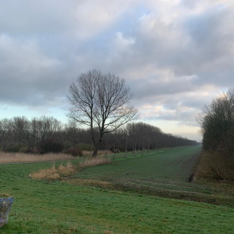 Vrij koud met wolkenvelden, ’s middags wat zon.