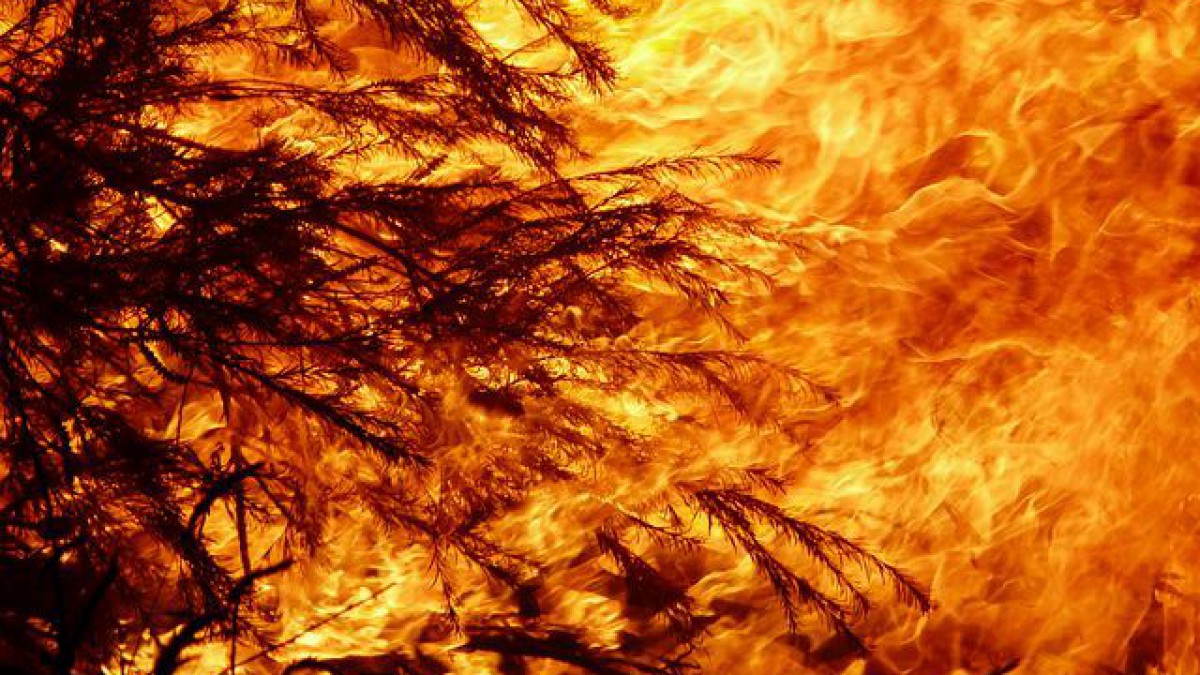 Brandweer uren bezig met hooibrand in Pampus