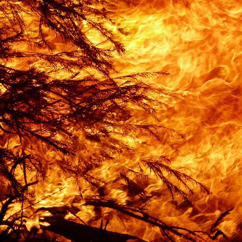 Brandweer uren bezig met hooibrand in Pampus