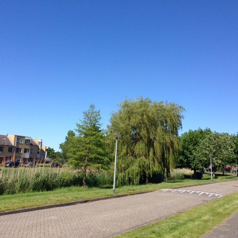 Zonnig en warm voorjaarsweer.