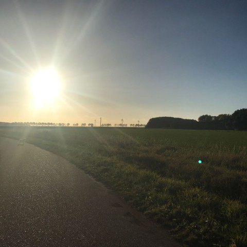 Zon keert in volle glorie terug.