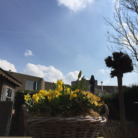 Lente breekt vol door.