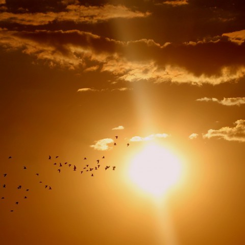 Zonnigste lente ooit gemeten