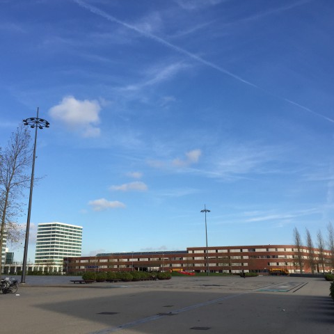 Bevrijdingsdag: Vrij zonnig.