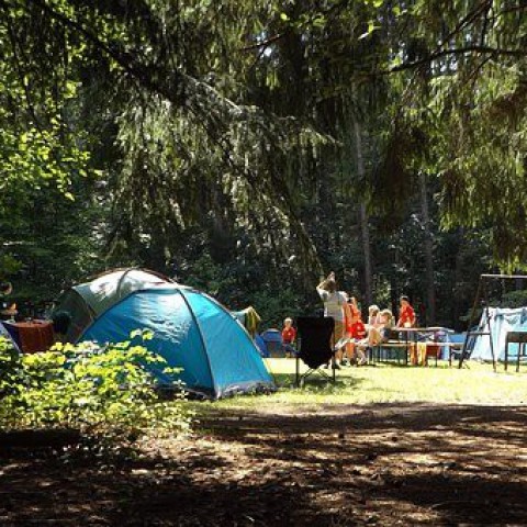 Zomervakantie back-up 