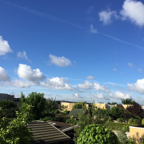 Veel zon en warm.