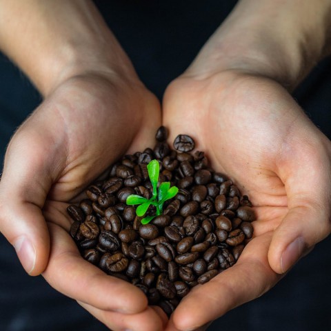 Fairtrade Week 