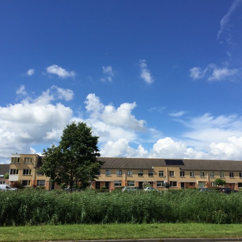 Droog en steeds meer zon.