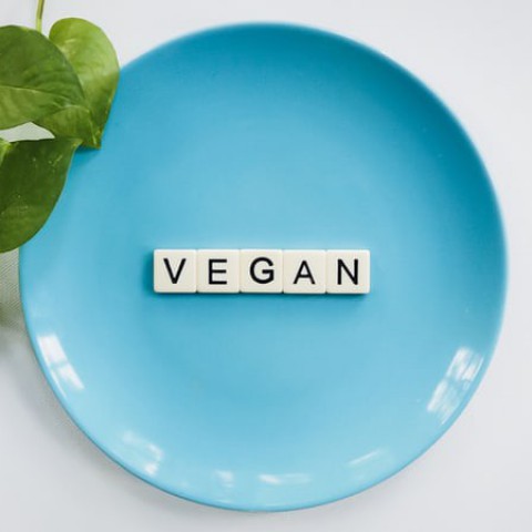 Vegan lifestyle  
