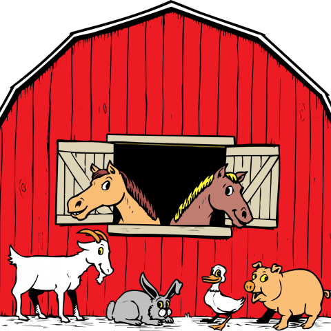 Kinderboerderij Den Uylpark opent vandaag weer de deuren