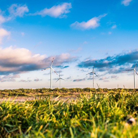 Raad van State beoordeelt bezwaren tegen Windplan Groen