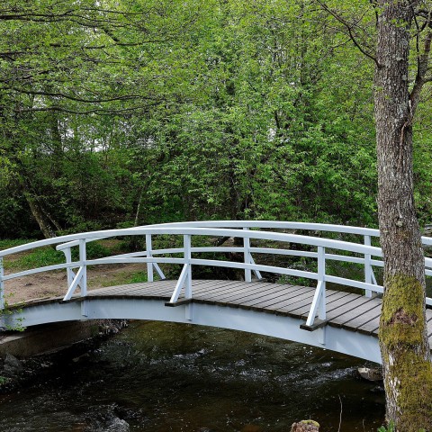 Bruggen in Nobelhorst