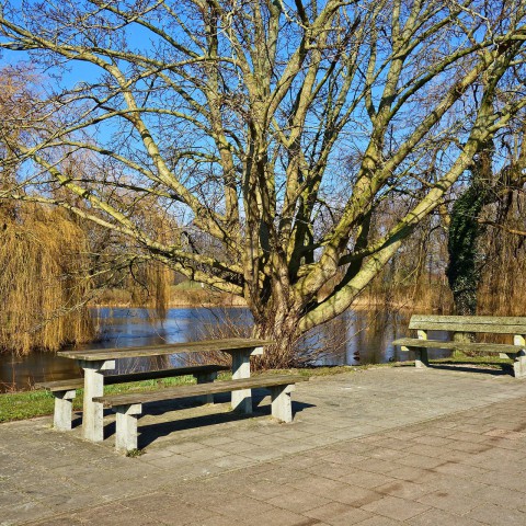 Natuurbelevingscentrum tijdelijk uitgebreid met terras