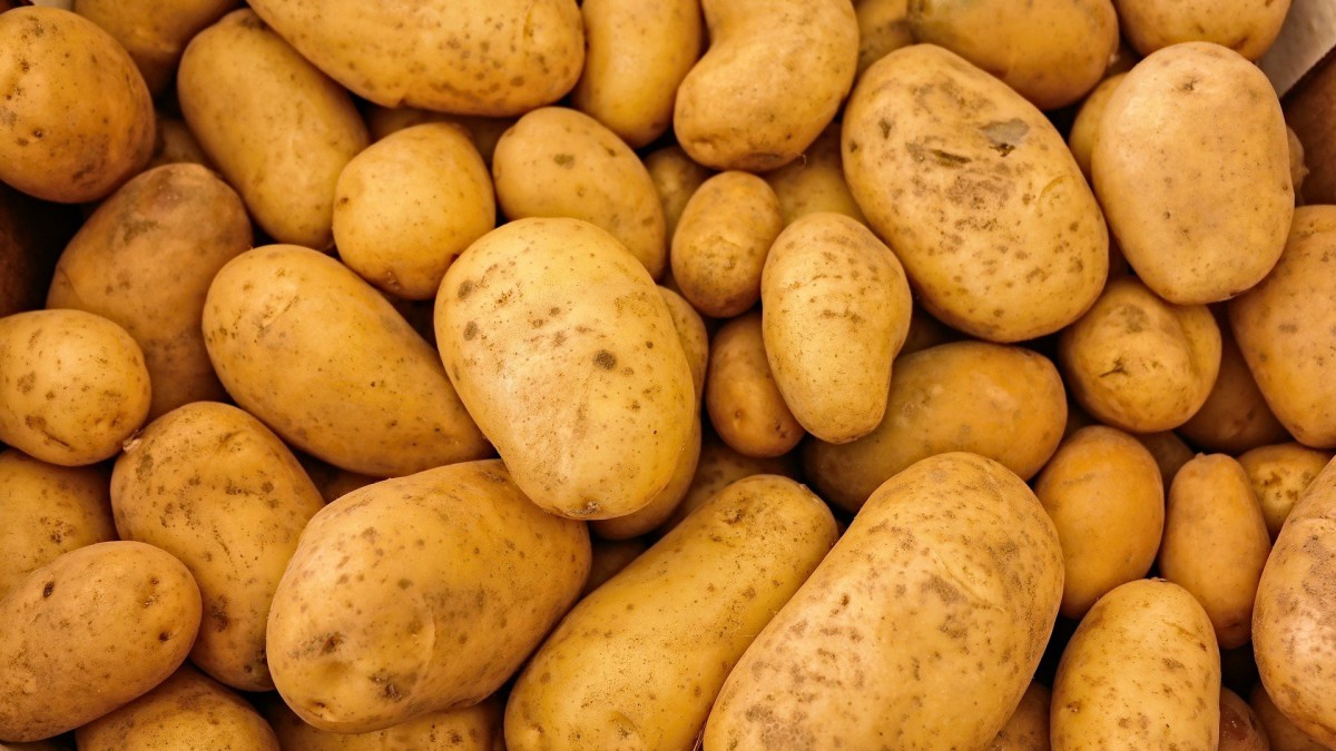 Drukte bij actie overschot aardappelen