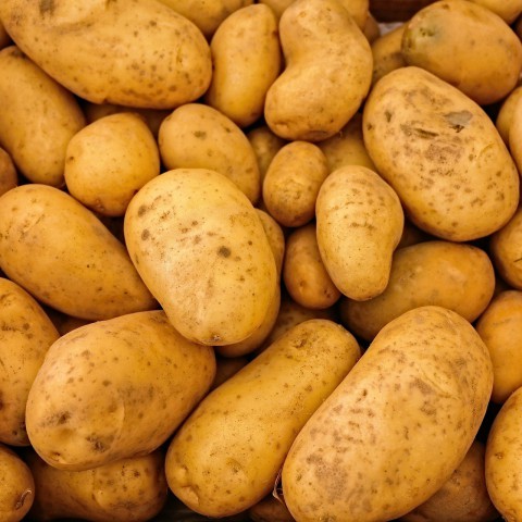 Drukte bij actie overschot aardappelen