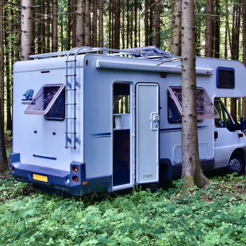 Nederlanders geven voorkeur aan eigen auto of camper 