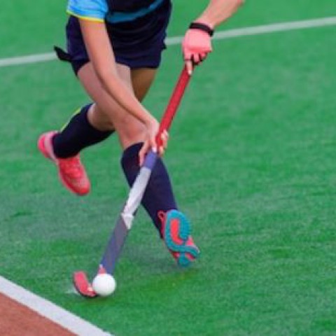 Arjan Jolie en Bart van der Wolf nieuw trainersduo Almeerse Hockey Club