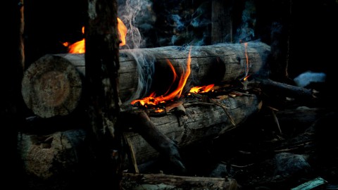 Grote brand legt stapel gekapte bomen in de as