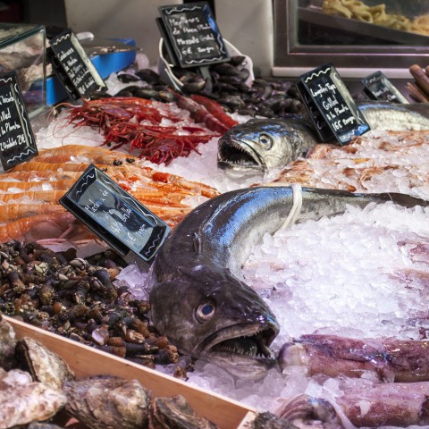 'Bezoekers Food Passage vinden het jammer dat concept niet gelukt is'