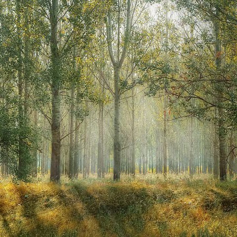Mooie en leuke wandelroutes 